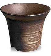 Amazon｜Kaiju Plant 萬古焼 3.5号 陶器鉢 ラッパ アガベ 多肉